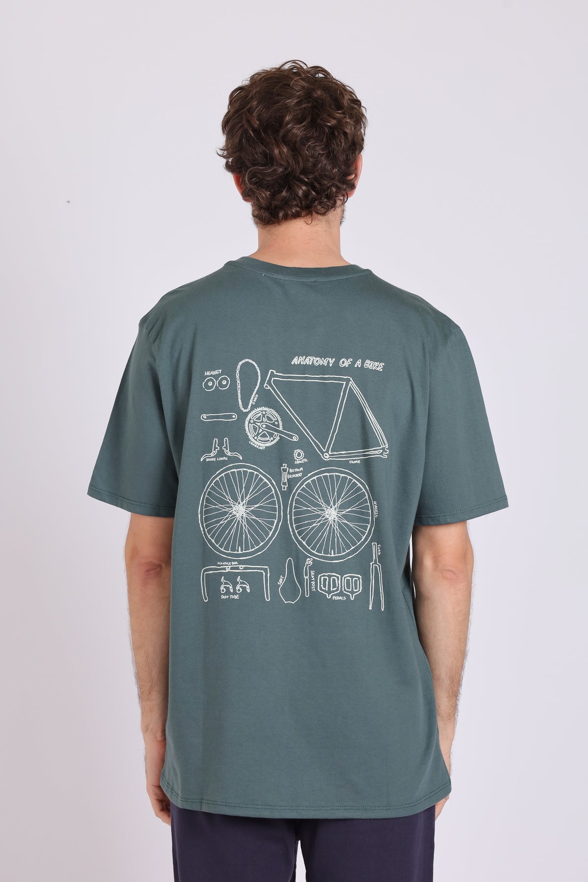 REMERA ANATOMIA